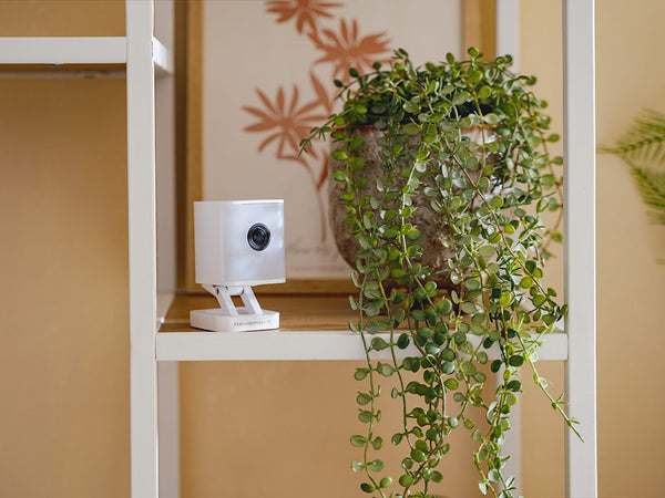 SCOPE ÜBERWACHUNGSSET - 2