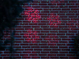 NEXSMART™ XMAS LASER PROJEKTOR